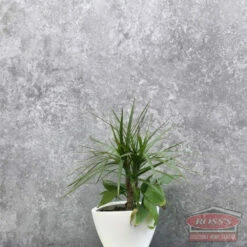 Concrete Wall Panel (2400mm) -Furniture Bathroom Shop Concrete look Wall Panel 1
