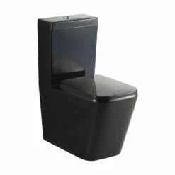 Black Cube Wall Faced Toilet Suite
