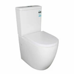 Denali Extra Height Rimless Toilet Suite
