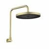 Gabe Gooseneck Shower Brushed Gold -Furniture Bathroom Shop Gabe Gooseneck Shower Brushed Gold