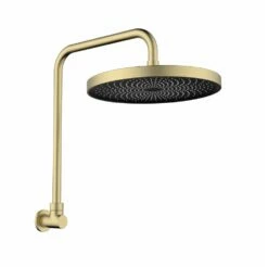 Gabe Gooseneck Shower Brushed Gold