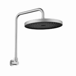 Gabe Gooseneck Shower Brushed Nickel